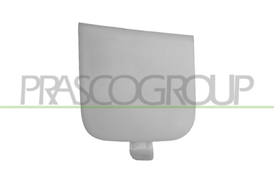 TAPAGANCHO PARACHOQUES DELANTERO