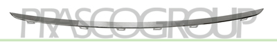MOLDURA CENTRAL PARACHOQUES DELANTERO-CROMADA MOD. LUXURY LINE