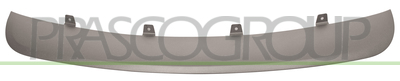 MOLDURA CENTRAL PARACHOQUES DELANTERO-GRIS/CROMADA