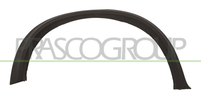 CERCO ALETA TRASERO DERECHO-NEGRO GRANDULADO