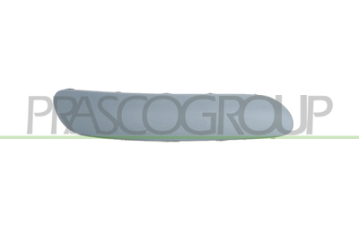 MOLDURA DERECHA IMPRIMADA PARACHOQUES DELANTERO