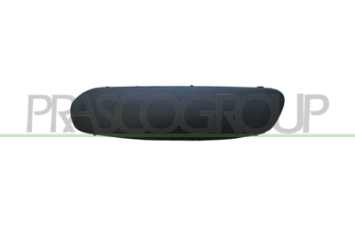 MOLDURA IZQUIERDA PARACHOQUES DELANTERO-NEGRA