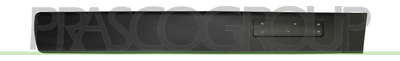 MOLDURA PUERTA DELANTERA DERECHA-CON CLIPS-NEGRO/GRANULADO