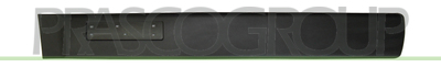 MOLDURA PUERTA DELANTERA IZQUIERDA-CON CLIPS-NEGRO/GRANULADO