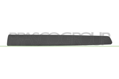 MOLDURA PUERTA DELANTERA IZQUIERDA-NEGRA-GRANULADA