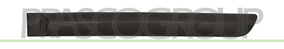 MOLDURA PUERTA TRASERA IZQUIERDA-NEGRO GRANULADO