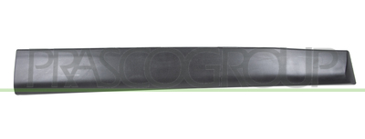 MOLDURA PUERTA DELANTERA IZQUIERDA-NEGRA-GRANULADA