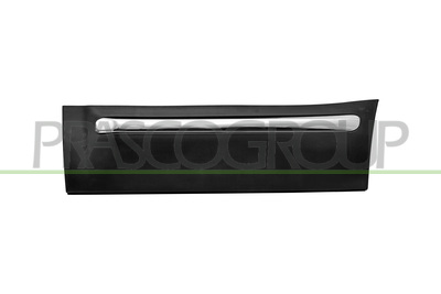 MOLDURA PUERTA TRASERA IZQUIERDA NEGRO-CON PERFIL CROMADO