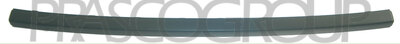 MOLDURA CENTRAL PARACHOQUES TRASERO MOD. FAMILIAL