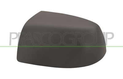 CARCASA ESPEJO IZQUIERDA IMPRIMADA
