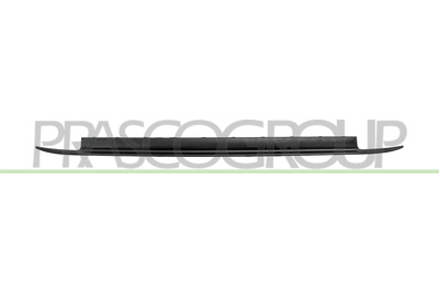 MOLDURA PARACHOQUES TRASERO-CENTRAL-NEGRA-GRANULADA