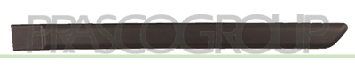 MOLDURA PUERTA TRASERA IZQUIERDA-NEGRO