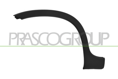 CERCO ALETA TRASERO DERECHO-NEGRO GRANDULADO