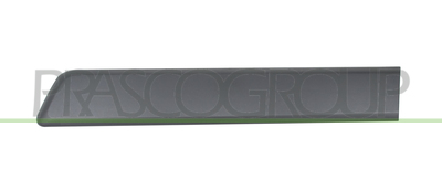 MOLDURA PUERTA TRASERA IZQUIERDA-CON CLIPS-NEGRO/GRANULADO