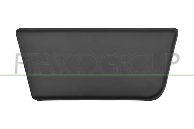 MOLDURA PUERTA DELANTERA DERECHA-CON CLIPS-NEGRO/GRANULADO