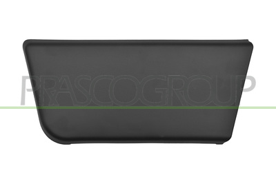 MOLDURA PUERTA DELANTERA IZQUIERDA-CON CLIPS-NEGRO/GRANULADO