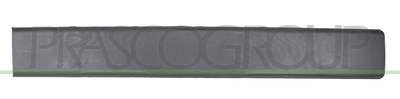 MOLDURA LATERAL CON CLIPS-NEGRA GRANULADA-PUERTA TRASERA DERECHA MOD. PASO MEDIO
