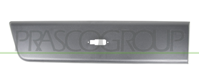 MOLDURA LATERAL CON CLIPS-NEGRA GRANULADA-CON AGUJERO PARA LUZ DE FRENO-PUERTA TRASERA DERECHA MOD. PASO EXTRA LARGO