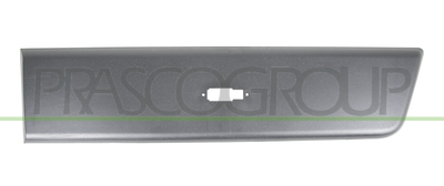 MOLDURA LATERAL CON CLIPS-NEGRA GRANULADA-CON AGUJERO PARA LUZ DE FRENO-PUERTA TRASERA IZQUIERDA MOD. PASO EXTRA LARGO