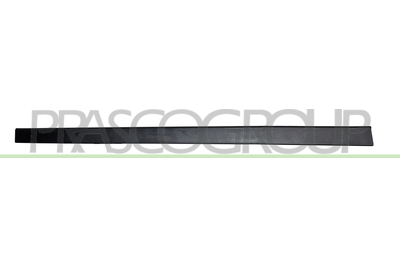 MOLDURA PUERTA DELANTERA IZQUIERDA-CON CLIPS-NEGRA-GRANULADA