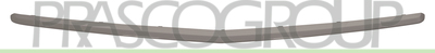 PERFIL GRIS CENTRAL PARACHOQUES TRASERO MOD. CLASSIC/ELEGANCE
