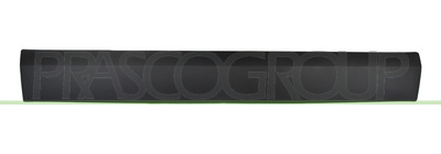 MOLDURA PUERTA TRASERA CORREDERA IZQUIERDA-NEGRA-IMPRIMADA