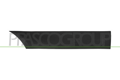 MOLDURA ALETA TRASERA IZQUIERDA-PARTE TRASERA-NEGRA-GRANULADA-CON CLIPS-CON AGUJERO LUZ DE GALIBO MOD. PASO LUNGO