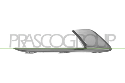 MOLDURA DERECHA PARACHOQUES DELANTERO-CROMADA