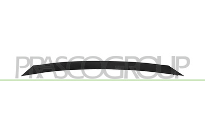 MOLDURA REJILLA-SUPERIOR-NEGRA-LISA