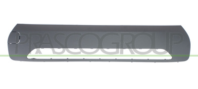 MOLDURA PARACHOQUES DELANTERO-CENTRAL-CON TAPAGANCHO-IMPRIMADA