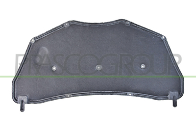 PANEL INSONORIZADO CAPO-9 CLIPS