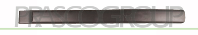 MOLDURA PUERTA DELANTERA IZQUIERDA NEGRO/GRANULADO MOD. RANCH