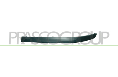 MOLDURA IZQUIERDA PARACHOQUES DELANTERO-NEGRA