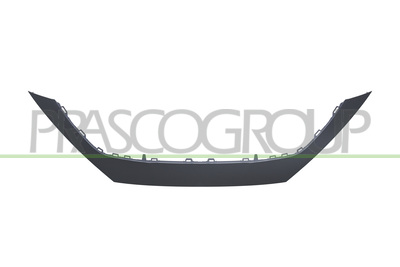 MOLDURA PARACHOQUES DELANTERO-SUPERIOR-IMPRIMADA
