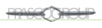 MOLDURA CENTRAL CROMADA REJILLA MOD. > 01