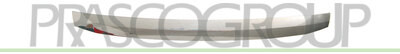 MOLDURA CAPO DELANTERO CROMADA MOD. 01 >