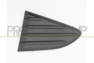 MOLDURA IZQUIERDA PARACHOQUES TRASERO-NERA GRANULADA
