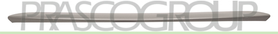 MOLDURA INFERIOR CENTRAL PARACHOQUES DELANTERO-PINTADA PLATA