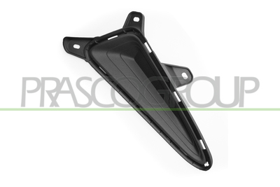 MOLDURA IZQUIERDA PARACHOQUES DELANTERO-NEGRA