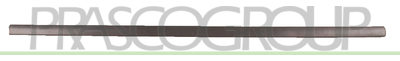 MOLDURA PUERTA DELANTERA IZQUIERDA NEGRO/GRANULADO