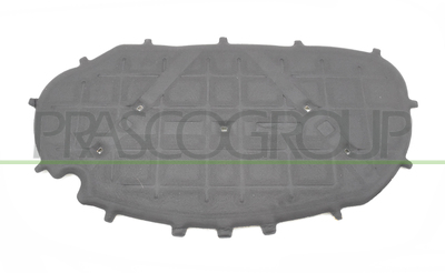 PANEL INSONORIZADO CAPO-5 CLIPS