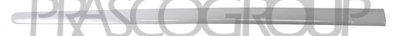 MOLDURA PUERTA DELANTERA DERECHA-GRIS/LISA-CON CINTA ADHESIVA DE DOBLE CARA MOD. 5 PUERTAS