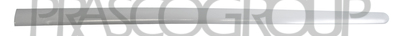 MOLDURA PUERTA DELANTERA IZQUIERDA-GRIS/LISA-CON CINTA ADHESIVA DE DOBLE CARA MOD. 5 PUERTAS