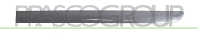 MOLDURA PUERTA TRASERA IZQUIERDA-NEGRA-GRIS MOD. 5 PUERTAS