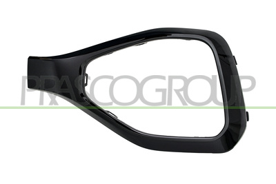 MOLDURA IZQUIERDA PARACHOQUES DELANTERO-NEGRA-BRILLANTE