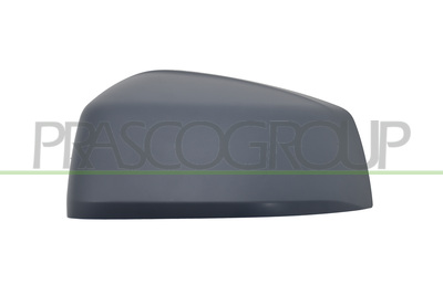 CARCASA ESPEJO IZQUIERDA-IMPRIMADA