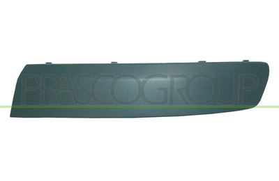 MOLDURA IZQUIERDA PARACHOQUES DELANTERO-GRIS OSCURO GRANULADA