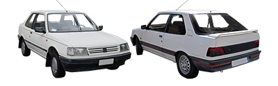 PEUGEOT 309
