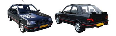 PEUGEOT 309