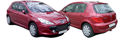PEUGEOT 307